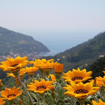 L'Antico Borgo B&B Леванто Экстерьер фото