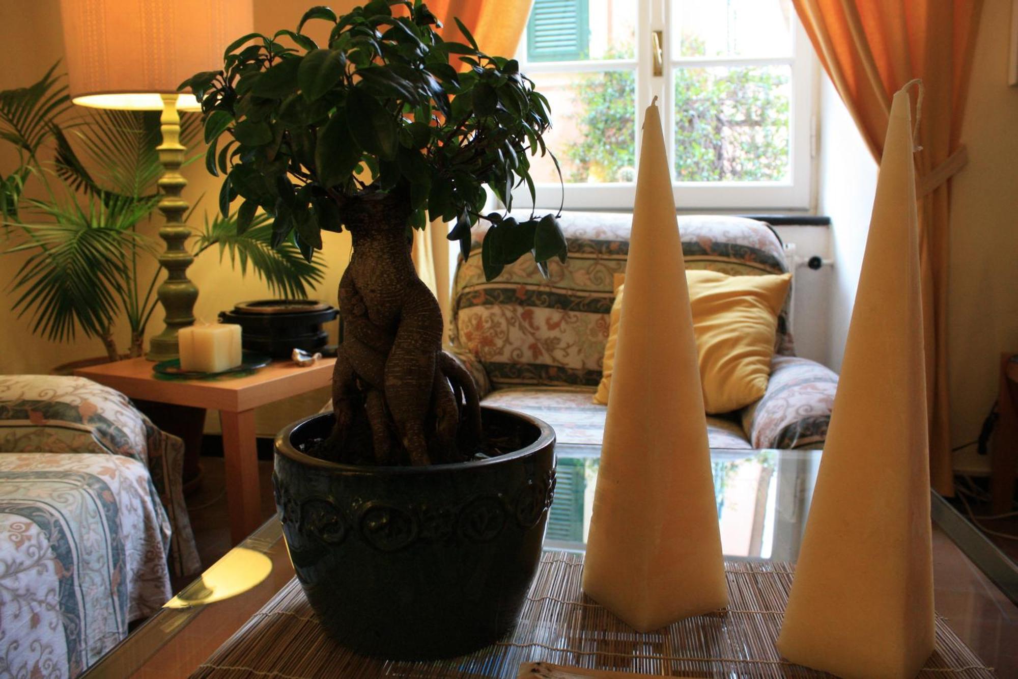 L'Antico Borgo B&B Леванто Экстерьер фото