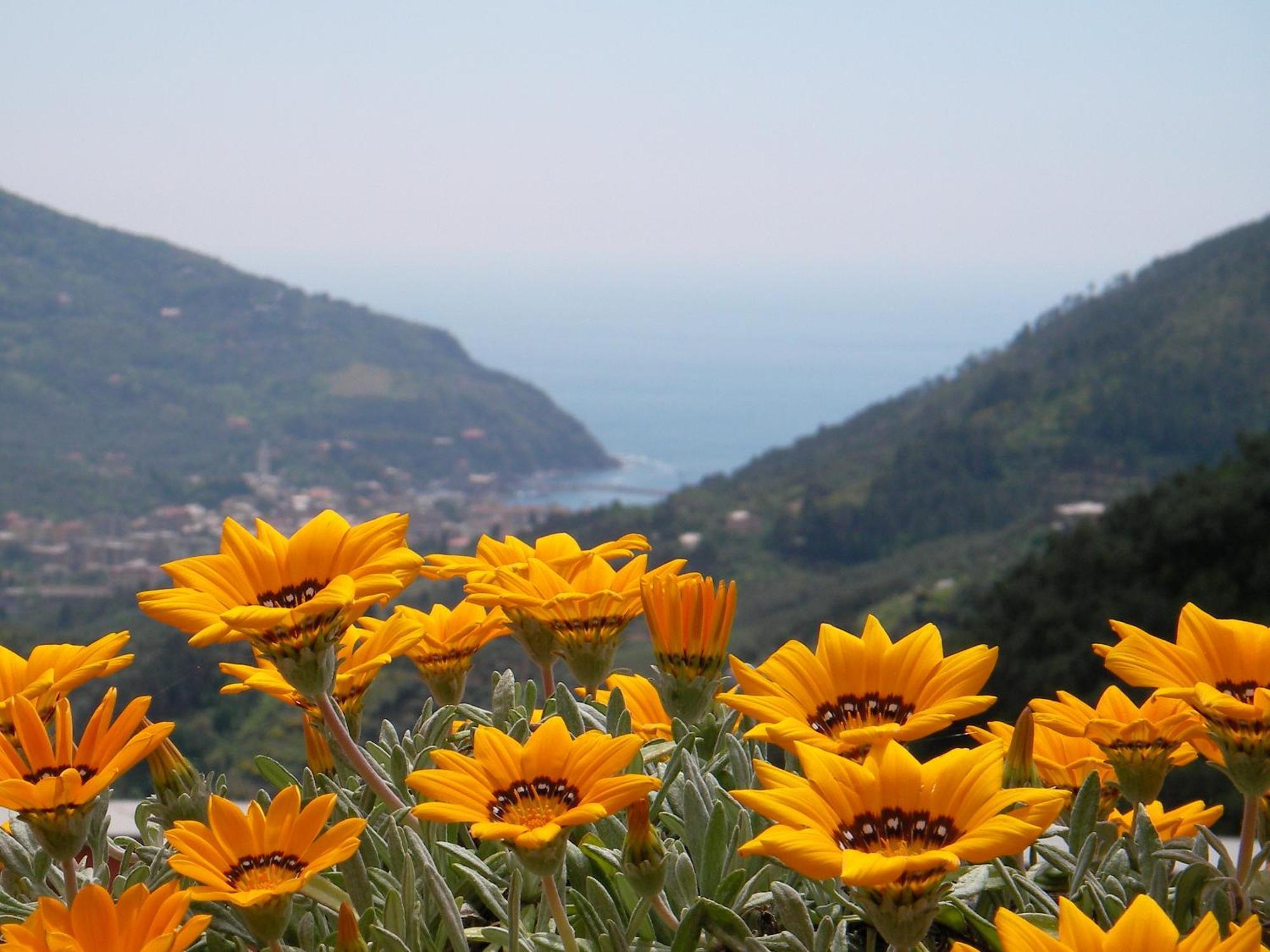 L'Antico Borgo B&B Леванто Экстерьер фото